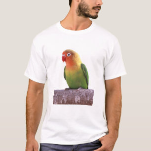 T-shirt of the Luri Gosi Button Inko