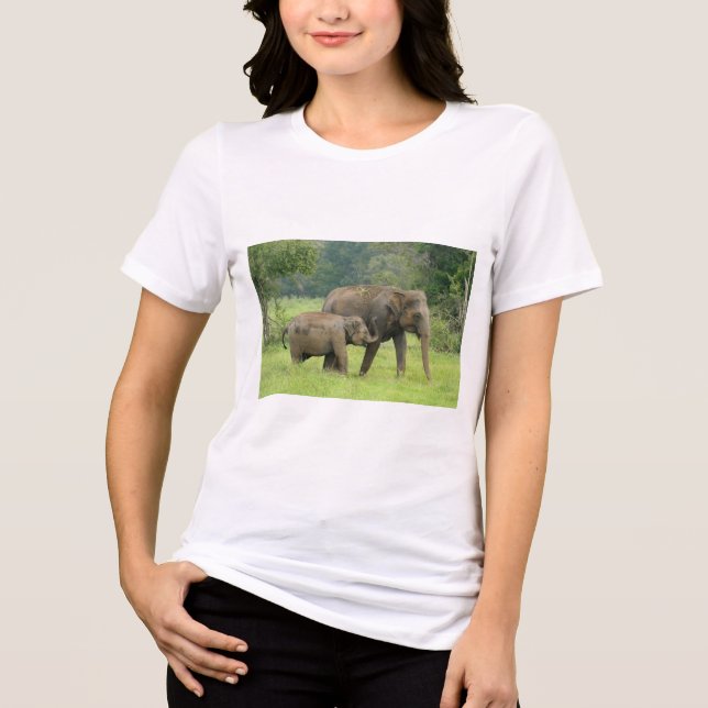 T-Shirt Tri-Blend Shirt (Front)
