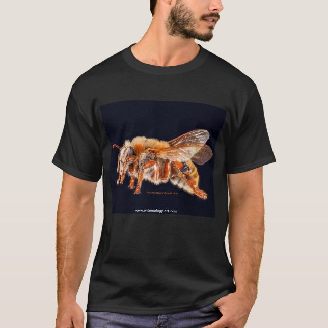 T-shirt with high-resolution image of stingle bee (Front)