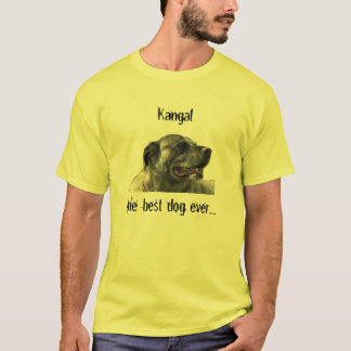 t-shirt with kangal