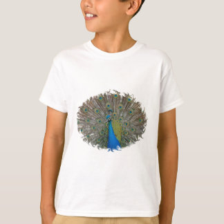 T-SHIRT with Peacock Finery