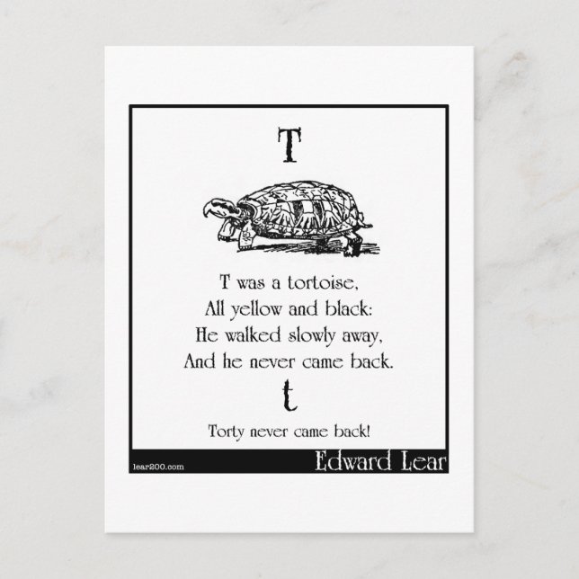 T was a tortoise postcard (Front)