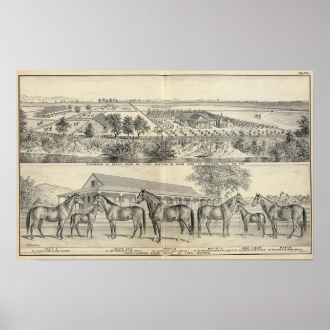 T Winters farm Poster (Front)