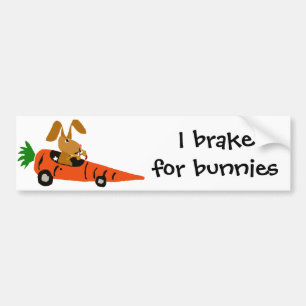 TA- Funny Bunny Rabbit Driving Carrot Car Cartoon Bumper Sticker