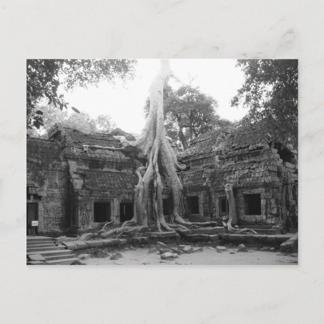 Ta Prohm Postcard (Front)