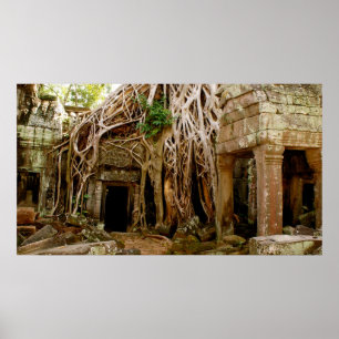 Ta Prohm Poster
