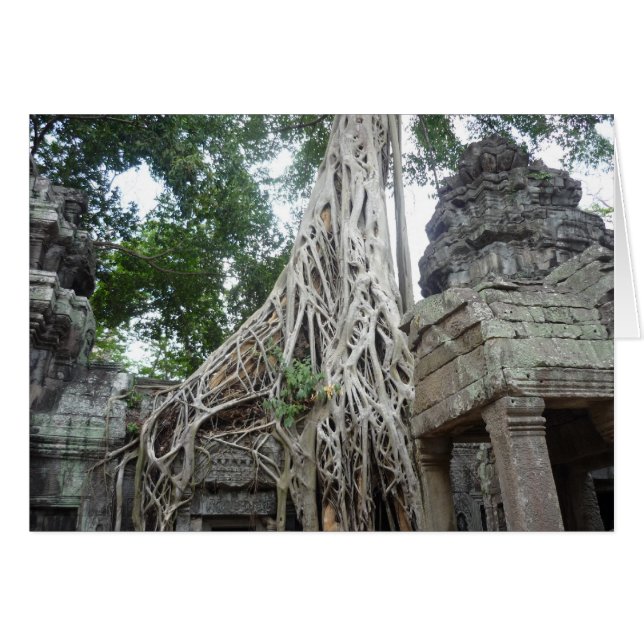 ta prohm roots (Front Horizontal)