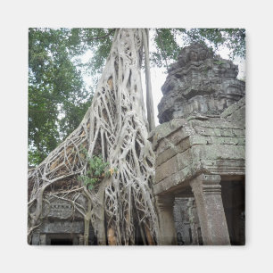ta prohm roots magnet