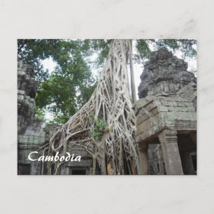 ta prohm roots postcard