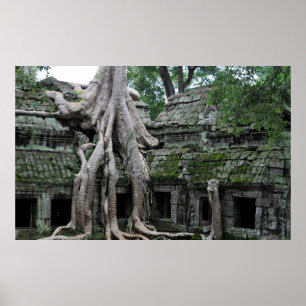 ta prohm temple  in cambodia poster