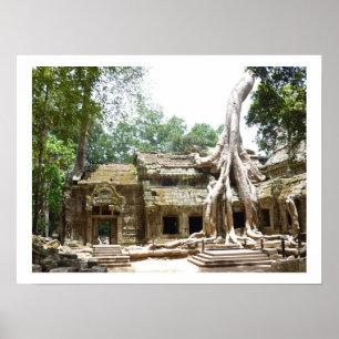 ta prohm tree border poster