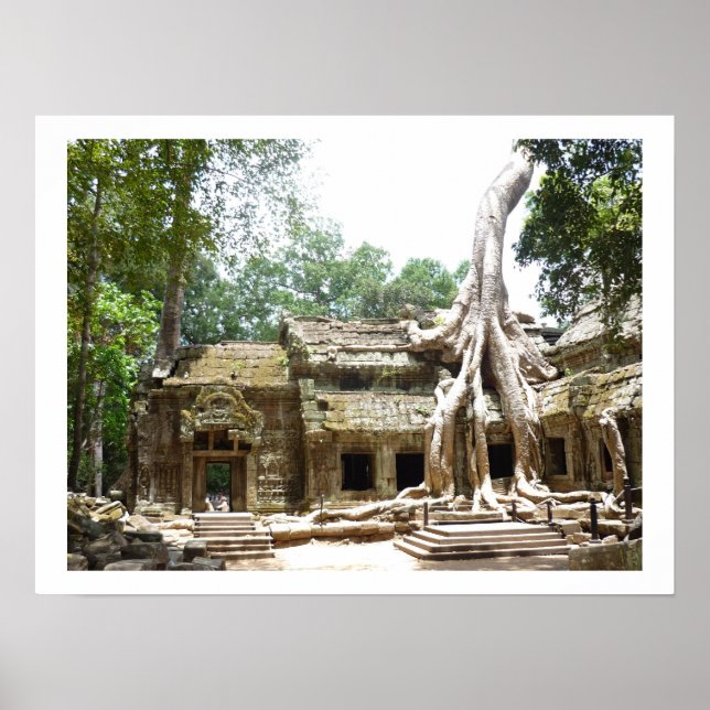 ta prohm tree border poster (Front)