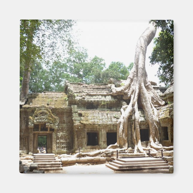 ta prohm tree magnet (Front)