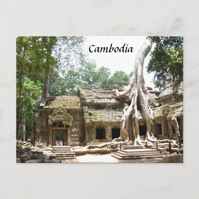 ta prohm tree postcard (Front)