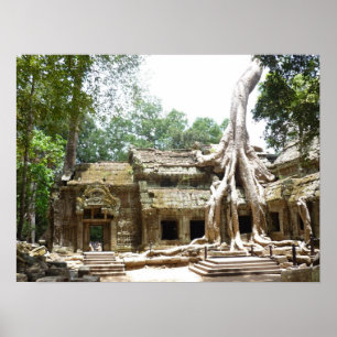 ta prohm tree poster