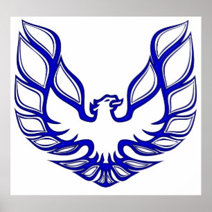 TA-SE-Blue Poster White