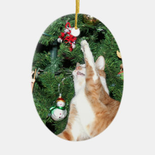 Tabby and Christmas tree Ceramic Tree Decoration