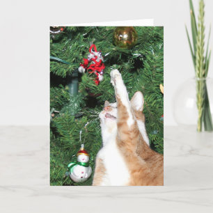 Tabby and Christmas tree Holiday Card