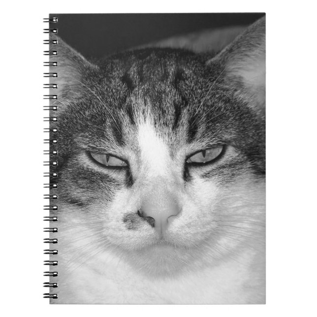 Tabby-and-White Cat Notebook (Front)