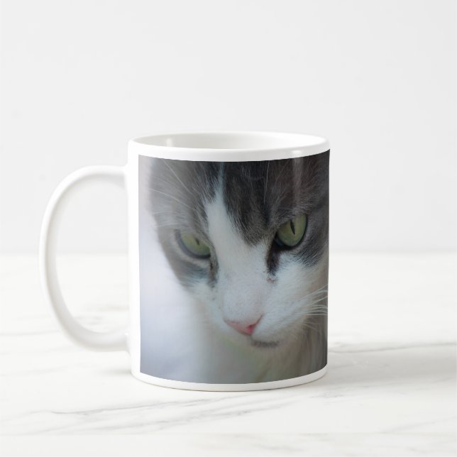 Tabby-and-White Cat Staring Coffee Mug (Left)