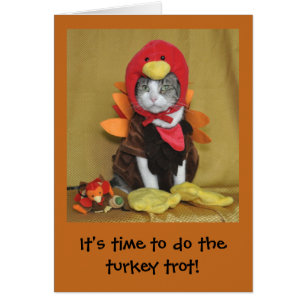 Tabby and white cat Thanksgiving card