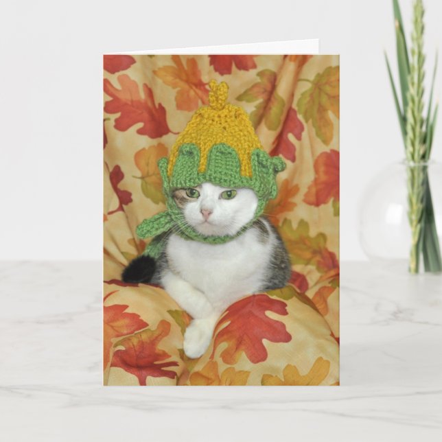 Tabby and white cat Thanksgiving or Fall card (Front)