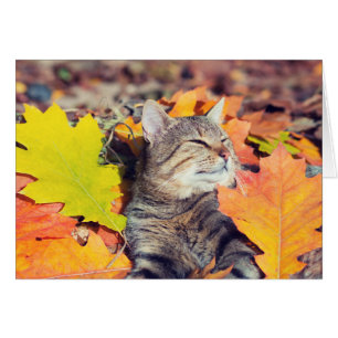 Tabby Basking in the Foliage