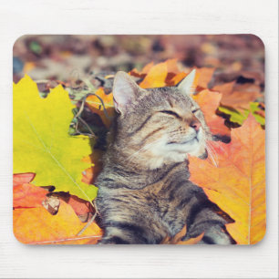 Tabby Basking in the Foliage Mouse Pad
