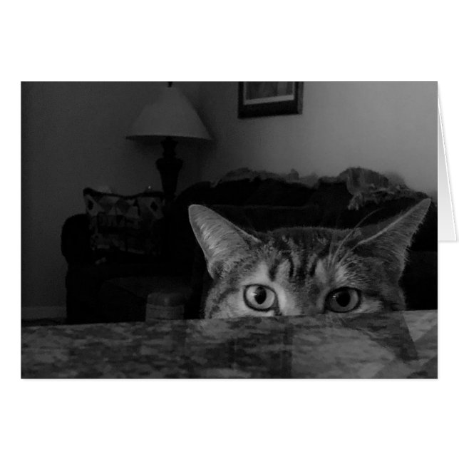 Tabby Cat (Front Horizontal)