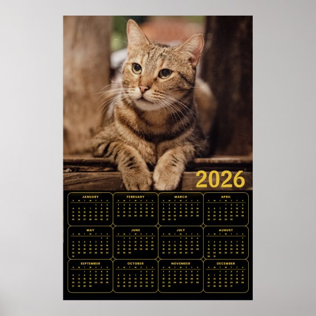 Tabby Cat 2026 Calendar Poster (Front)