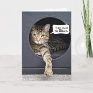 Tabby Cat 75th Birthday Humour Card