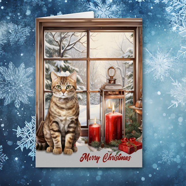 Tabby Cat and Candles in Winter Window Christmas (Creator Uploaded)