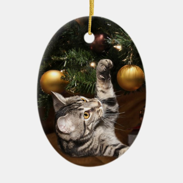 Tabby cat and Christmas tree Ceramic Ornament (Front)