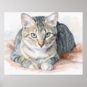 Tabby Cat Art Poster