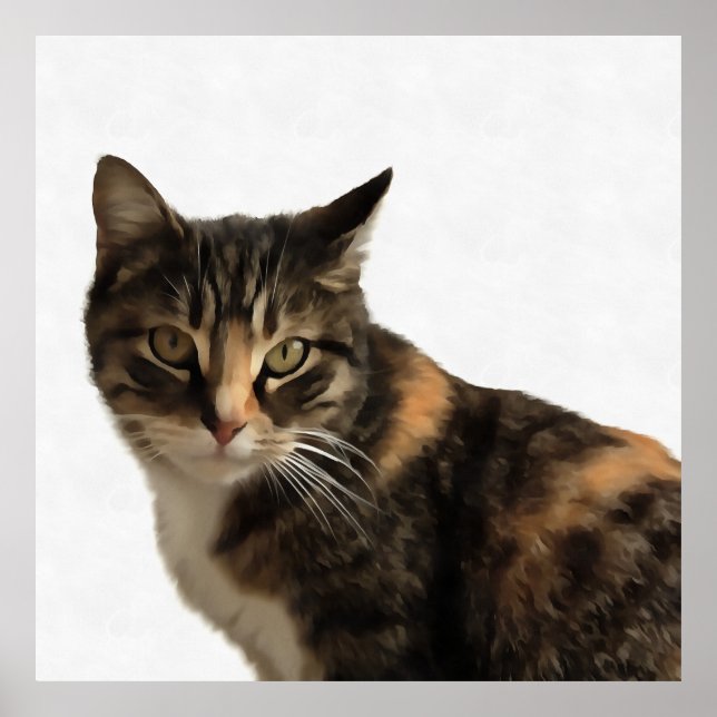 Tabby Cat Artistic Portrait On White Background Poster (Front)