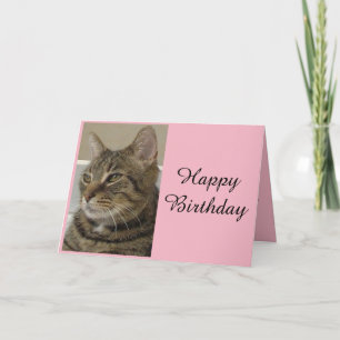 Tabby Cat Birthday Card