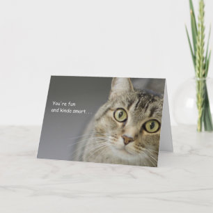 Tabby Cat Birthday Card by Focus for a Cause