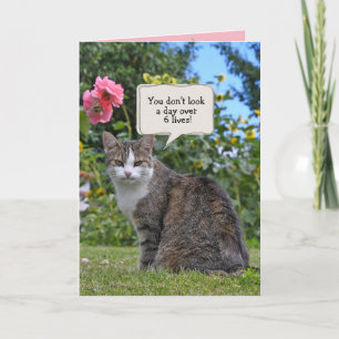 tabby cat birthday humour card