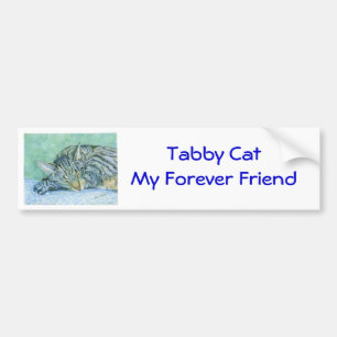 Tabby Cat Bumper Sticker