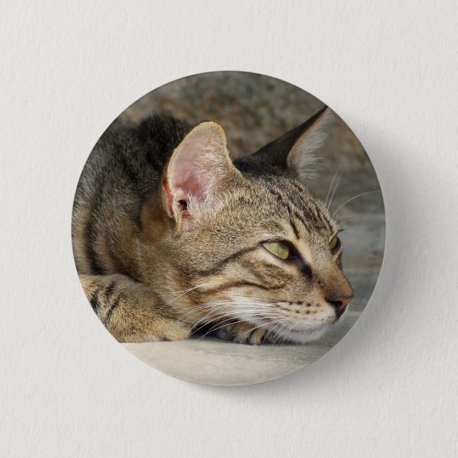 Tabby Cat Button (Front)