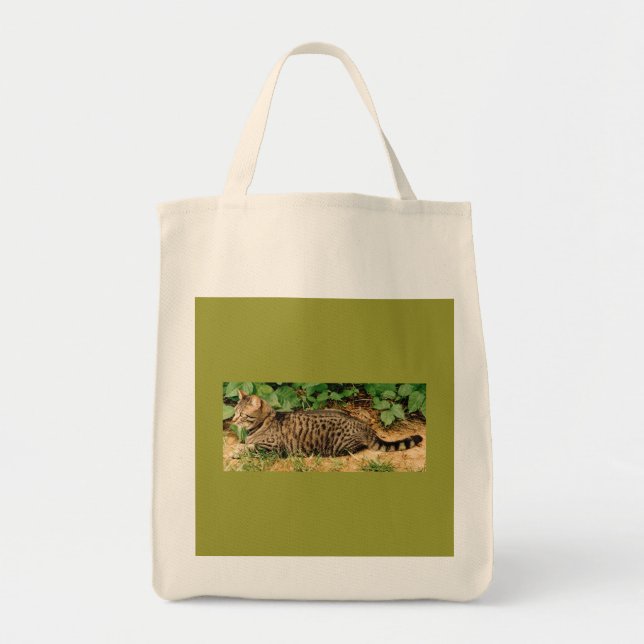 Tabby Cat canvas bag (Front)
