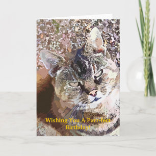 TABBY CAT CARD