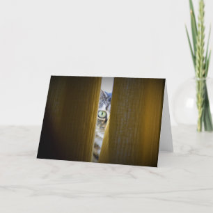 Tabby Cat, card