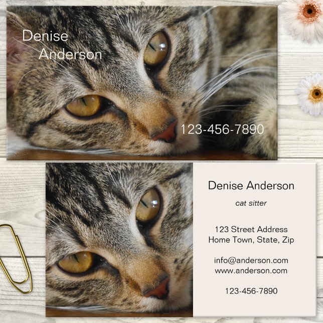 Tabby Cat - Cat Sitter Business Card (Business card featuring a lovely tabby cat. Great for a cat sitter, cat rescue, animal shelter)