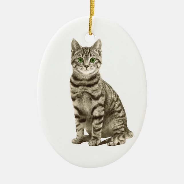 Tabby Cat Ceramic Tree Decoration (Front)