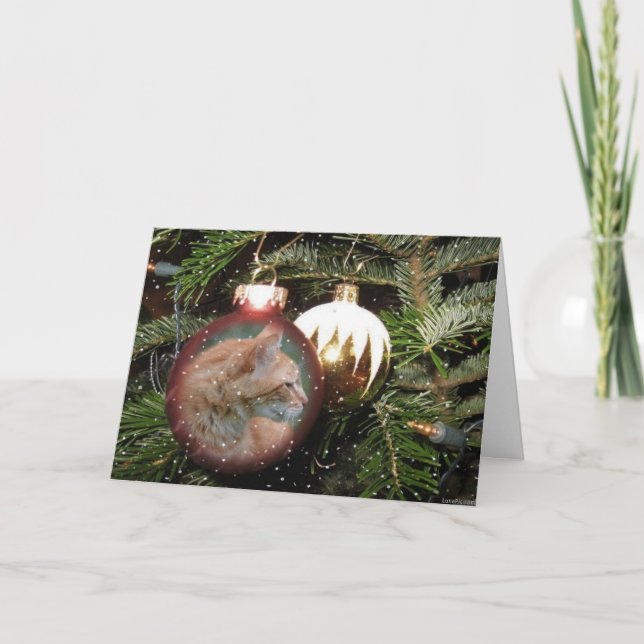 Tabby Cat Christmas Ball Greeting Card (Front)