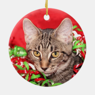 Tabby cat Christmas Ceramic Tree Decoration
