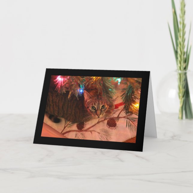 Tabby Cat Christmas Tree card (Front)