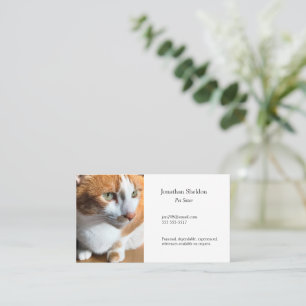 Tabby cat closeup business card