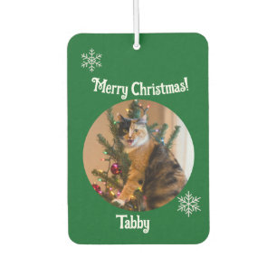 Tabby Cat Customize Photo Name Car Air Freshener